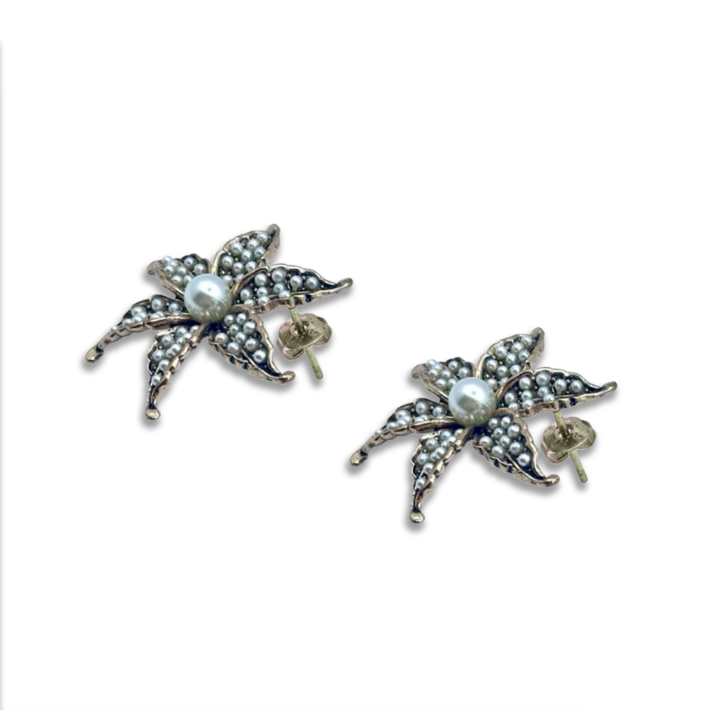 PEARL LILY