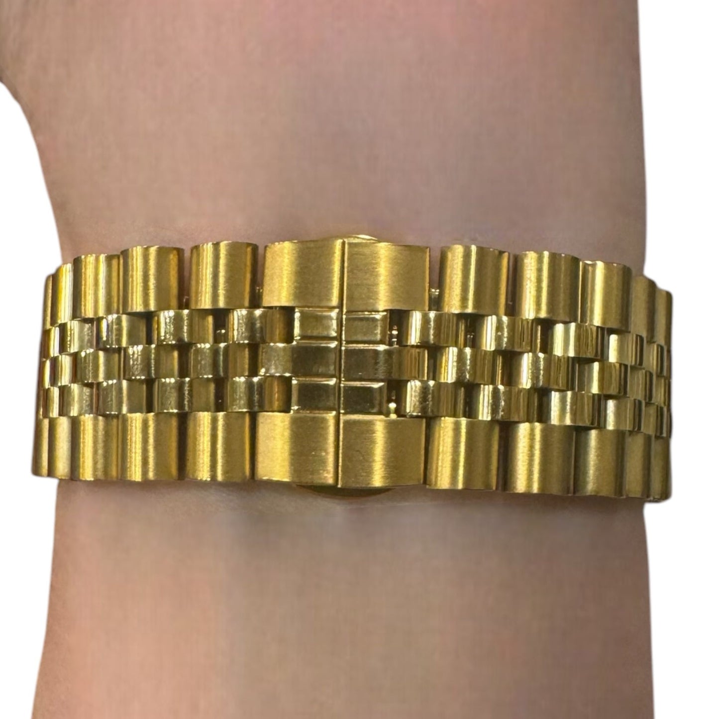 GOLD STEEL ÇELİK KAYIŞ (22mm Uyumlu)